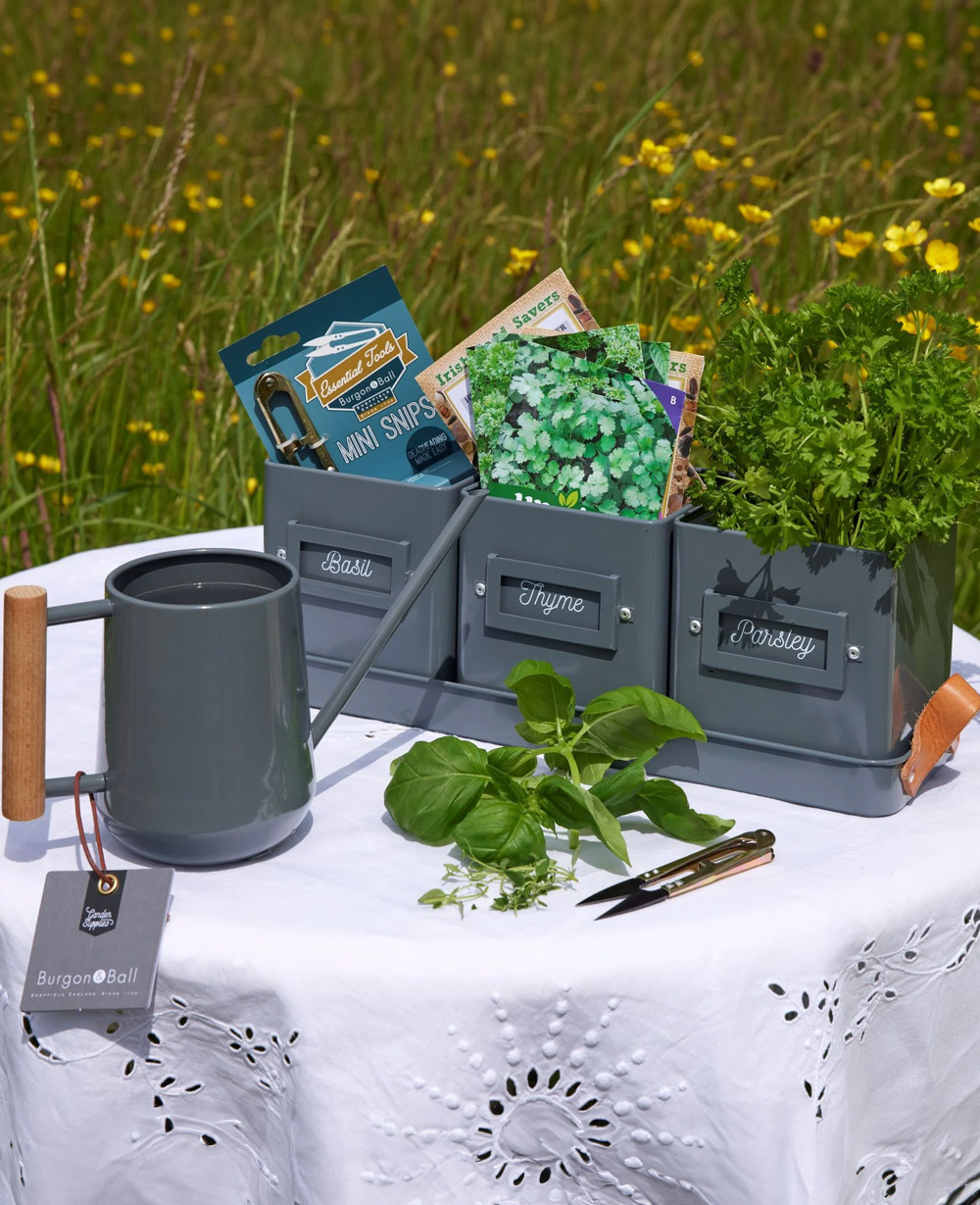 Kitchen Herb Garden Gift Set<br/>(Corporate Gifts)
